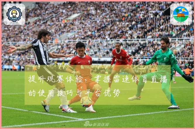 提升观赛体验，掌握雷速体育直播的使用技巧与平台优势